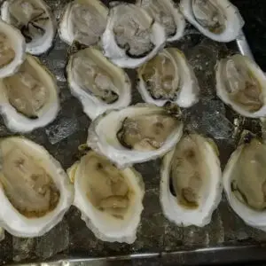 A tray of oysters on ice with some sauce.