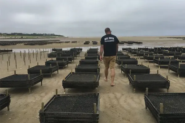 A man walking on the beach near many cages.