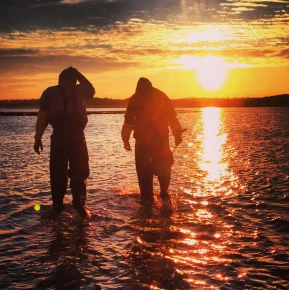 Two people walking in the water at sunset.