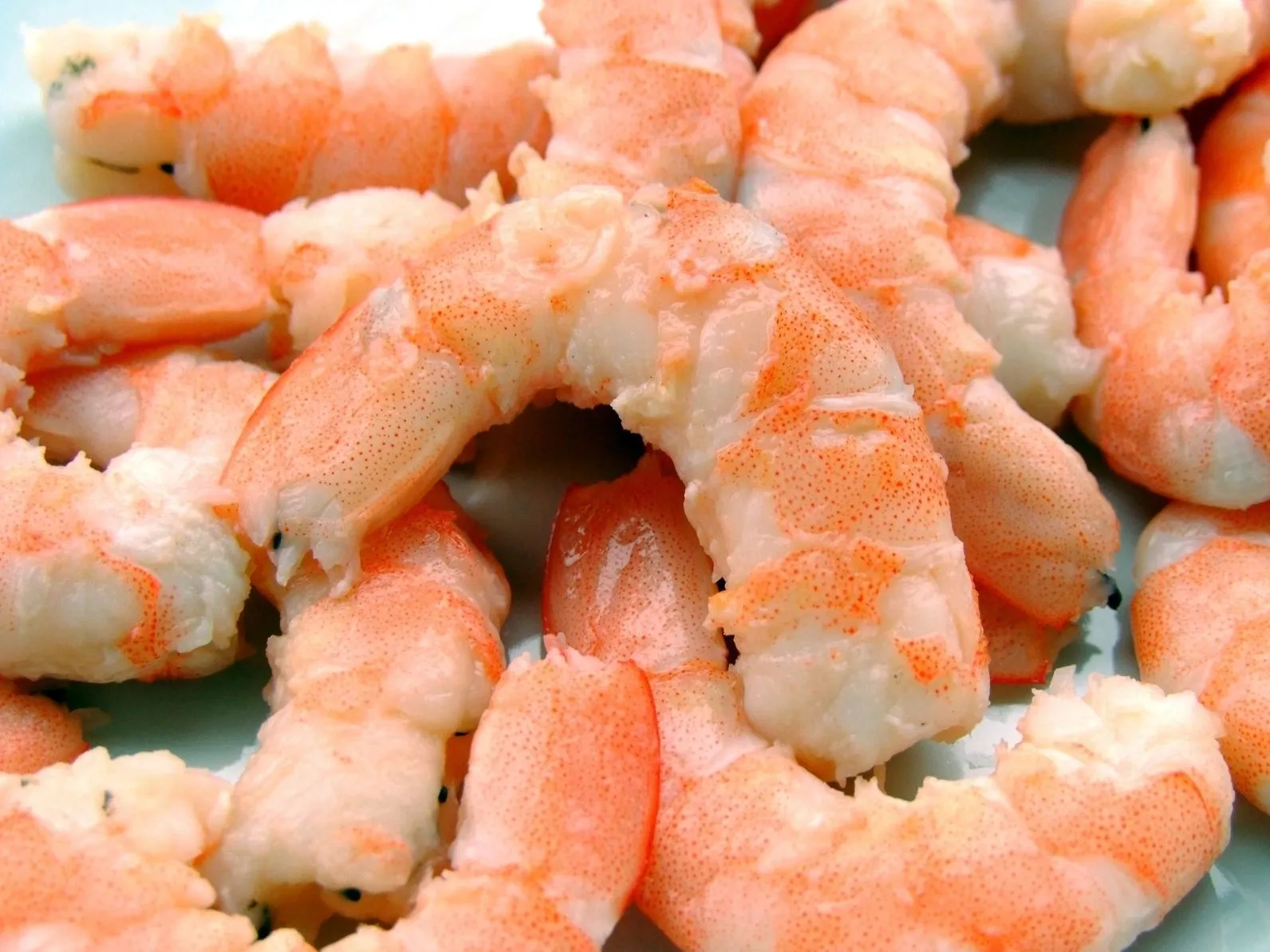 A close up of shrimp on a plate